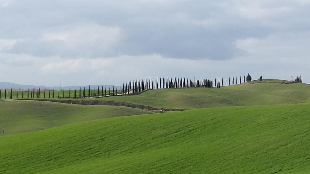 1000 Miglia Monteroni dʼArbia Exterior foto
