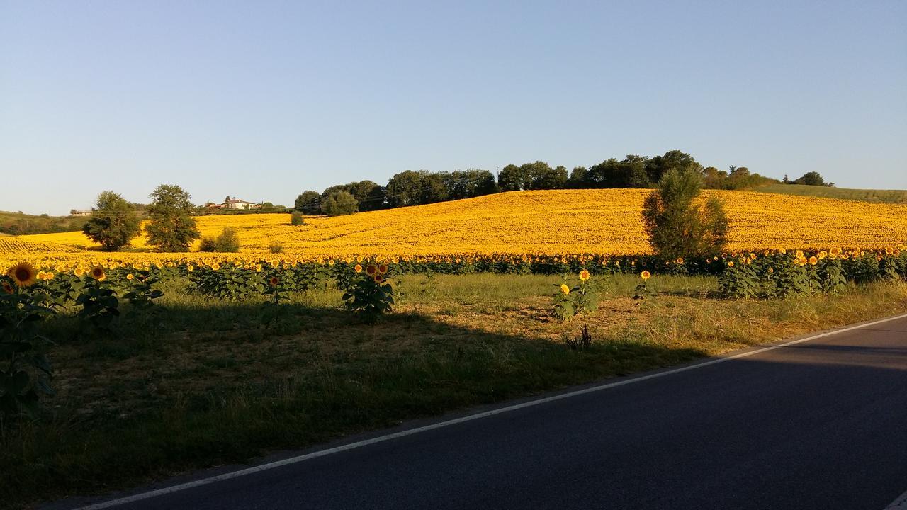 1000 Miglia Monteroni dʼArbia Exterior foto